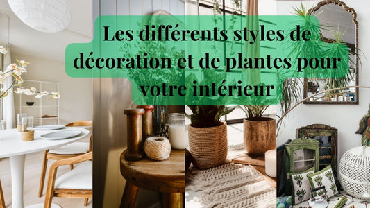 Les différents styles de décoration et de plantes pour votre intérieur